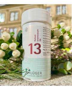 Schüsslerovy soli Č. 13