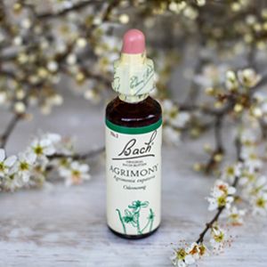 Agrimony,  Bachovy květové esence