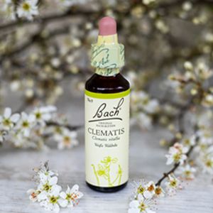 Clematis,  Bachovy květové esence