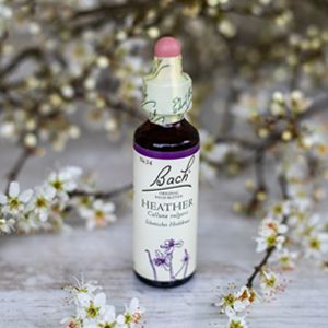Heather,   Bachovy květové esence