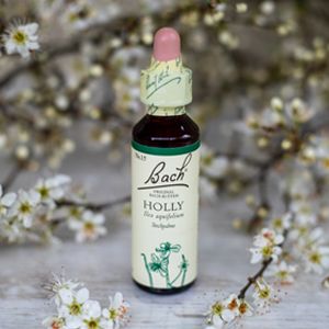 Holly,  Bachovy květové esence