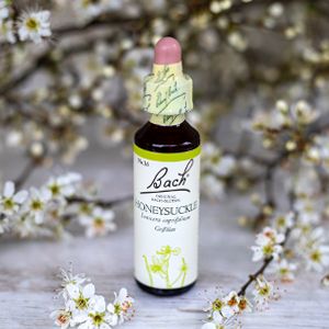 Honeysuckle, Bachovy květové esence