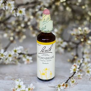 Hornbeam, Bachovy květové esence