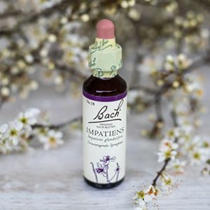 Impatiens, Bachovy květové esence