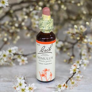 Mimulus,  Bachovy květové esence