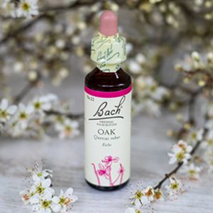 Oak, Bachovy květové esence
