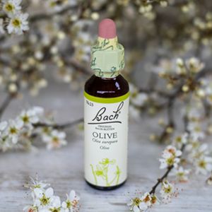 Olive, Bachovy květové esence