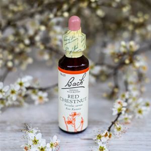 Red Chestnut, Bachovy květové esence