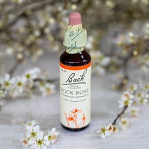 Rock Rose, Bachovy květové esence