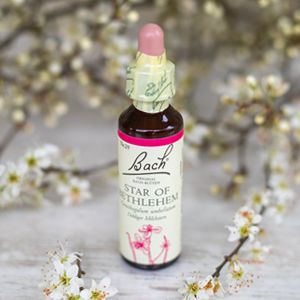 Star of Bethlehem, Bachovy kvetove esence
