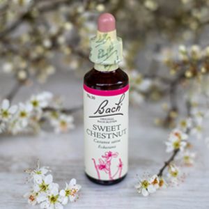 Sweet Chestnut, Bachovy květové esence