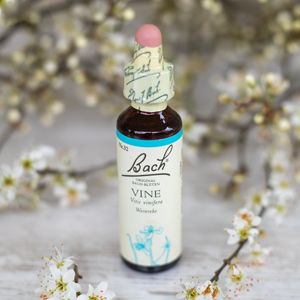 Vine,   Bachovy květové esence