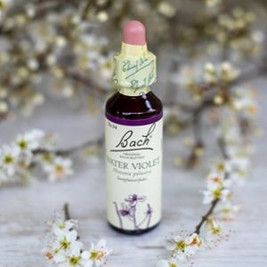 Water Violet, Bachovy květové esence