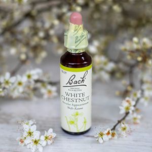 White Chestnut, Bachovy květové esence