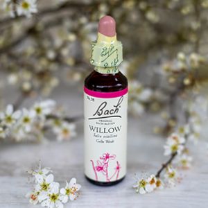 Willow,  Bachovy květové esence