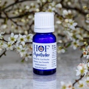 Centaury  - Bachovy esence Globule, 10g