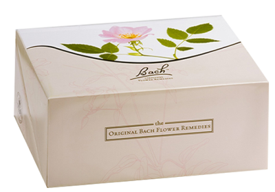 Bachovy květové esence kompletní set 10 ml