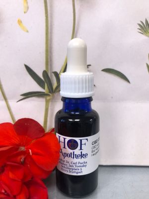 CBD olej 10% 20ml