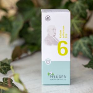 Schüsslerovy soli Č. 6 