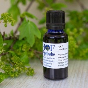 Galium verum - Tinktura