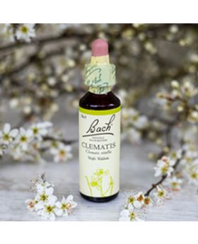 Clematis,  Bachovy květové esence