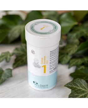 Schüsslerovy soli Č. 1