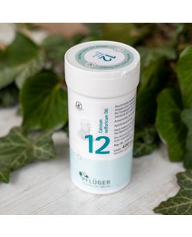 Schüsslerovy soli  Č. 12