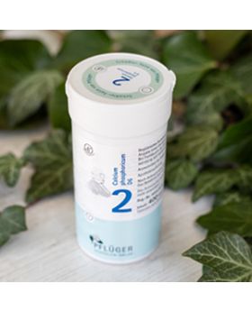 Schüsslerovy soli Č. 2