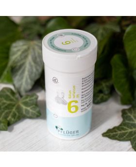 Schüsslerovy soli Č. 6