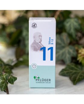Schüsslerovy soli  Č. 11