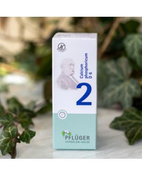 Schüsslerovy soli Č. 2