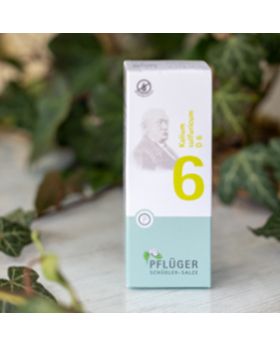 Schüsslerovy soli Č. 6