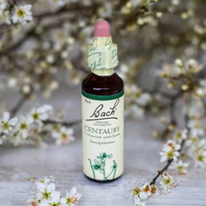 Centaury,  Bachovy květové esence