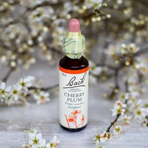 Cherry Plum, Bachovy květové esence