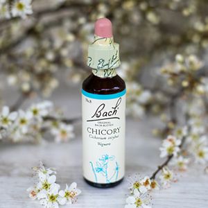 Chicory,   Bachovy květové esence
